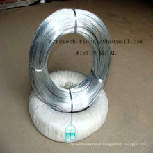 Factory High Quality Electro Galvanized Binding Wire in Competitive Price